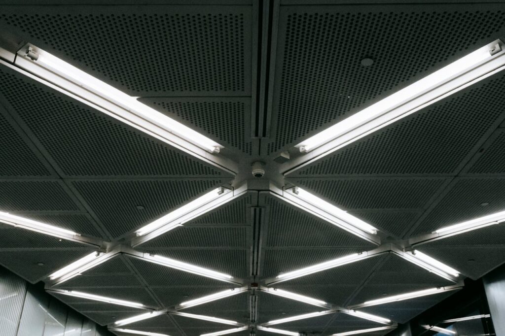 pexels-photo-7078409-7078409 pexels-photo-7078409-7078409.jpg