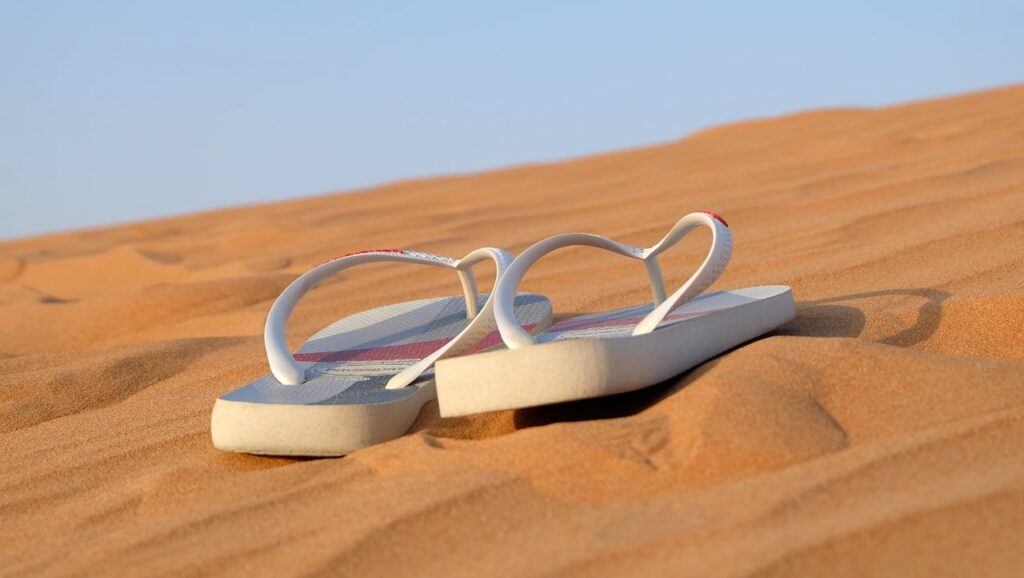 sandals-flip-flops-footwear-beach-40737-40737.jpg